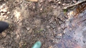 Суровые будни весновки 2023 #18 Домой