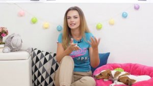 Уникальные возможности обоняния собак