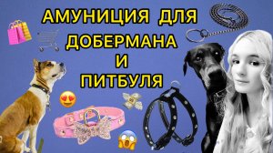 АМУНИЦИЯ ДЛЯ ДОБЕРМАНА И ПИТБУЛЯ