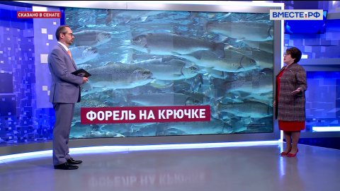 Помощь предприятиям, выращивающим рыбу. Людмила Талабаева. Сказано в Сенате