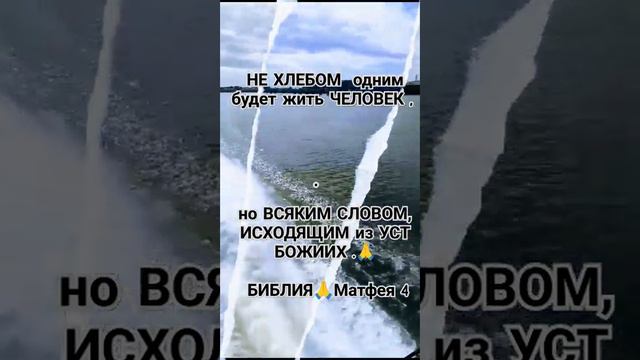 написано: не хлебом одним будет жить человек, но всяким словом🙏БИБЛИЯ