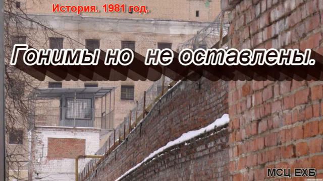 Гонимы но не оставлены  Л  М  Винс  МСЦ ЕХБ ПРОПОВЕДЬ 2020 смотреть онлайн
