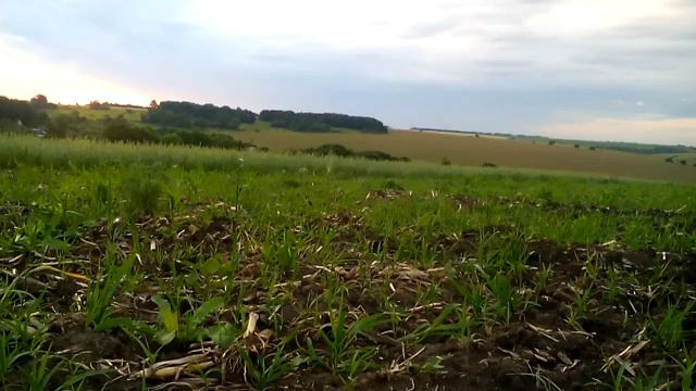 Рассвет в поле смотреть онлайн