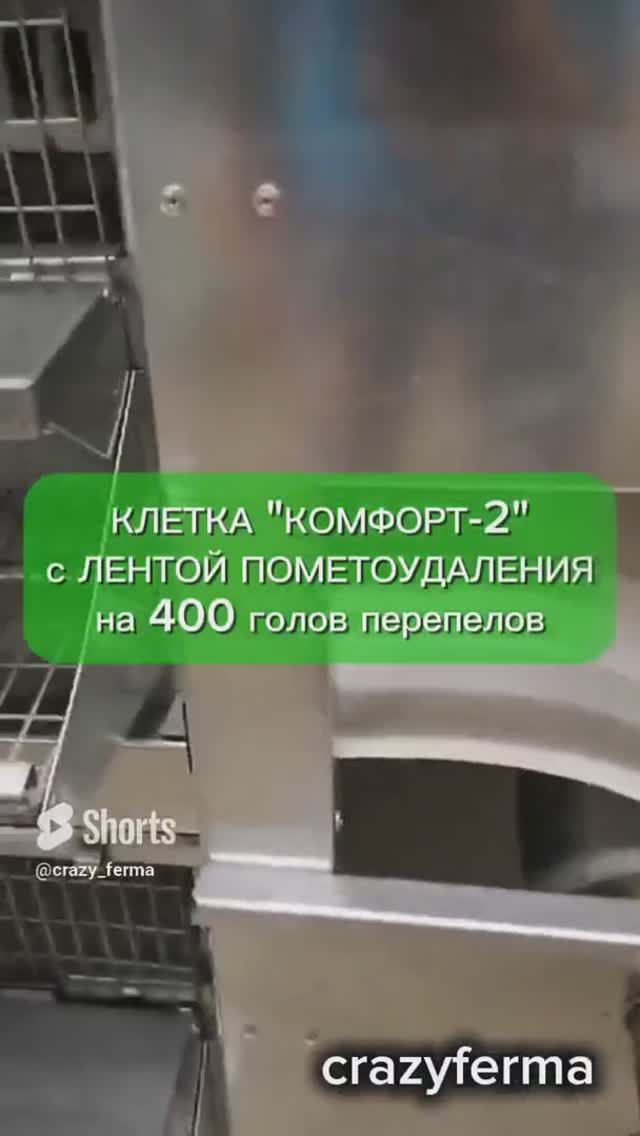 КЛЕТОЧНАЯ БАТАРЕЯ для 400 перепелов с лентой пометоудаления. #ферма #дача #перепела #shorts