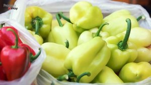 БУДЕТ МНОГО СЛАДКОГО ПЕРЦА ТОЛЬКО ПРИ ТАКОМ УХОДЕ! КАК УХАЖИВАТЬ И ЧЕМ ПОДКАРМЛИВАТЬ СЛАДКИЙ ПЕРЕЦ