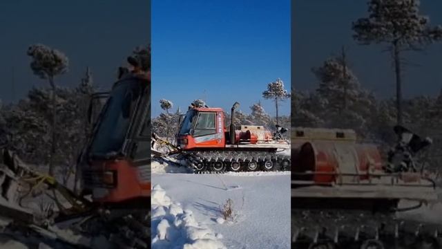Новый взгляд на ЗИМНИК