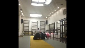 Ваш инструктор ки-айкидо и японской йоги сознания синсин-тойцу до