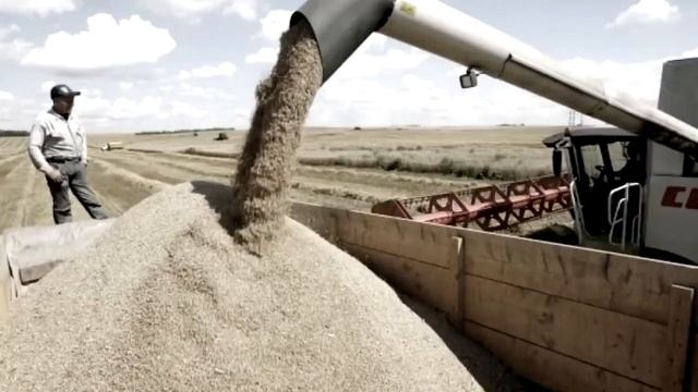 Подсчет населения земли из известных источников смотреть онлайн