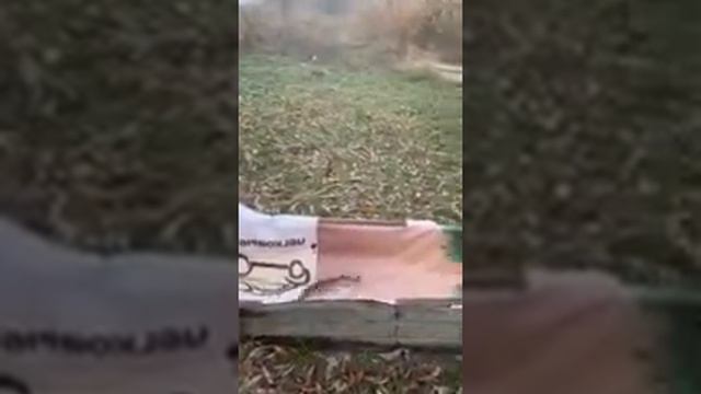 Козинцы 24.10.2019