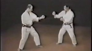 Вадо рю каратэ.Wado-ryu karate.Kumite