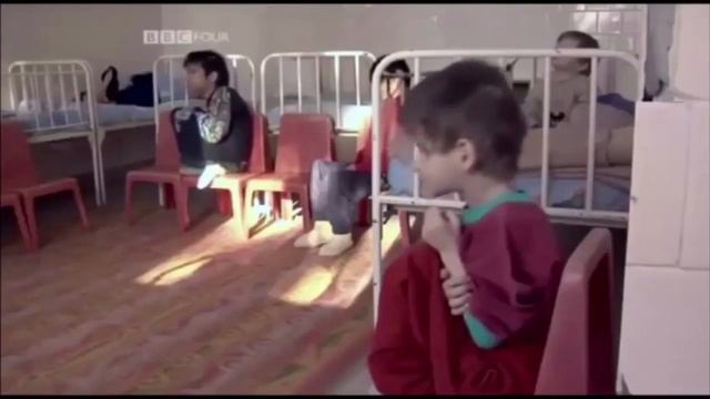 Группа грибы расспалась не успев возврадиться, причины ! смотреть онлайн