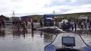 Чукотка, п.Лаврения 2018 г