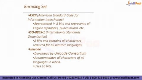 Java Variables | Java Variables and Constants | Java Identifiers | Intellipaat