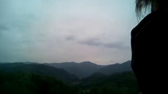 Бабочка. Дровосек. смотреть онлайн