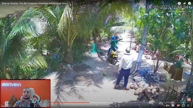 МАНУРИН СМОТРИТ Они не Знали, Что Их Снимает Камера, и Сделали Это смотреть онлайн