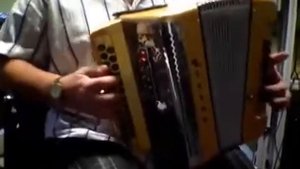 игра на баяне играет виртуоз из Германии