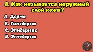 Интересный тест на эрудицию и кругозор #21 | Вы эрудит? #викторина #квиз #эрудиция