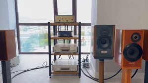 Поющая акустика (Sony ss A3 La voce)