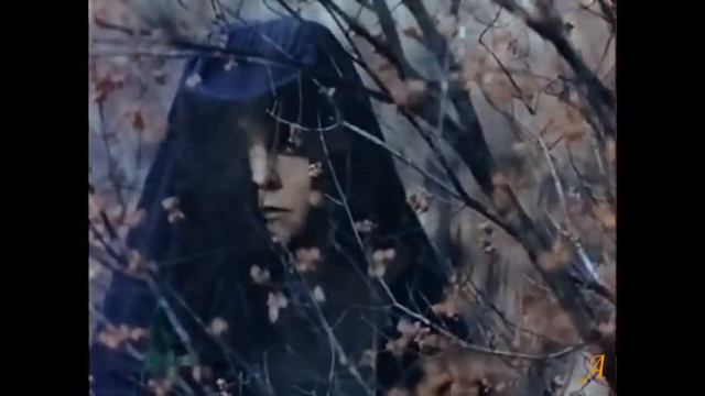 "Скрип колеса" ("Скрипка - Лиса") - И. Саруханов, А. Новиков. Исполняет И. Саруханов смотреть онлайн