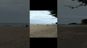 VID_20230828_073252.mp4