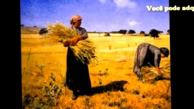 Servo Inutil смотреть онлайн