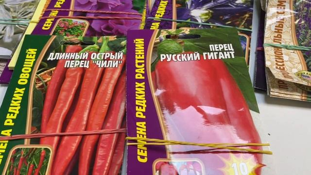 ОБЗОР СЕМЯН. ЧАСТНАЯ КОЛЛЕКЦИЯ. ЛЮБОВЬ МЯЗИНА. смотреть онлайн