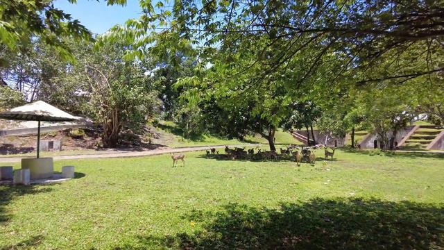 МОТОПУТЕШЕСТВИЕ ЗИМА 2024! Мототрип по ИНДОНЕЗИИ. #крепость ДОЖДИ! смотреть онлайн