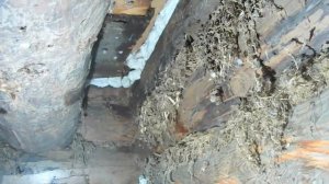 Как дешево утеплить пол в деревянном доме постройки времен развитого социализма