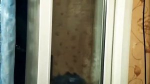 Ремонт выбитой пластиковой двери. #Remontokon63  #РемонтДверей63  #Новокуйбышевск #Гранный