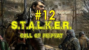 S.T.A.L.K.E.R: Call of Pripyat. Припять. Продолжение компании в игре. 12 стрим #stalker #сталкер