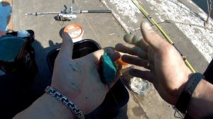 Рыбалка для начинающих. Рыбалка это просто и не дорого.Мир,труд,май!!!!