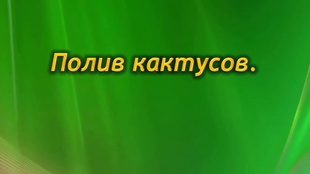Ошибки и тонкости полива комнатных растений. Как правильно поливать цветы?
