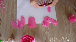 Пионы из гофрированной бумаги / pion made from paper/ Цветы своими руками