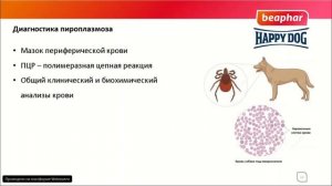 Пироплазмоз