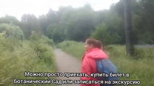 Дорога на Урочище Чертов Стул. Часть 2 - Колокольчиковое море. - Карелия. Петрозаводск