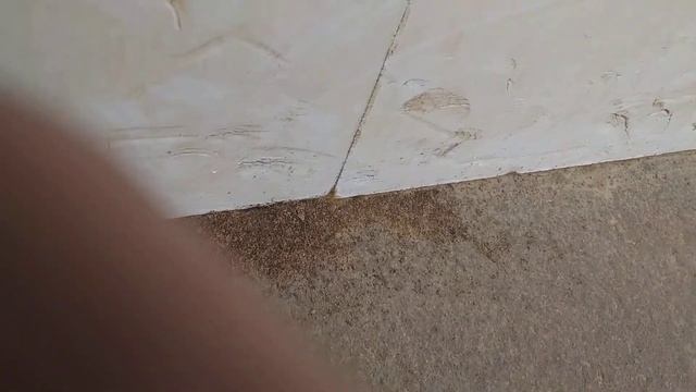 Муравьи под пеноплексом! Вскрытие гнёзд и борьба с помощью отравы. смотреть онлайн