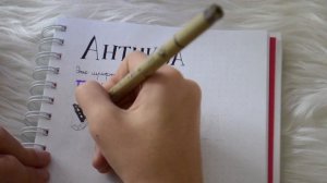 Шрифты в леттеринге | виды шрифтов | гротеск, антиква, скрипт