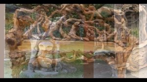 Поделки из дерева для дачи и дома своими руками