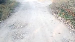 В Шумном!