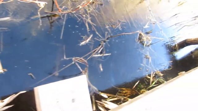 бензин смотреть онлайн