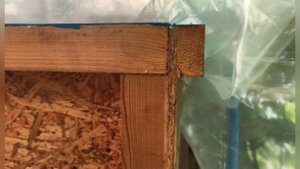 Бассейны для золотых рыбок своими руками