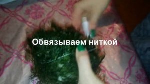 Яванский мох (Vesicularia dubyana)