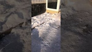 Лайфхак, как поднять материал на любой этаж быстро и легко!