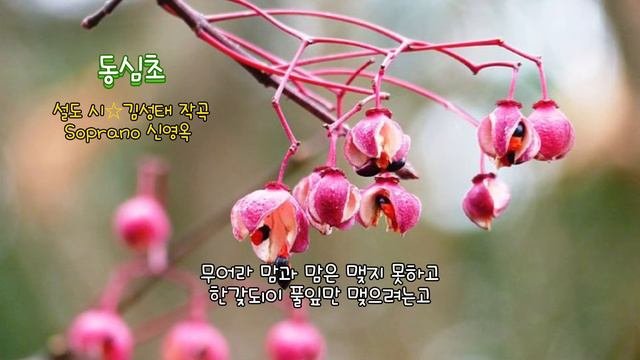 ■장성현가곡교실 [1202회] 동심초 ☆설도 시/김성태 곡