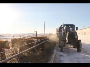 "Местные жители с Оксаной Савочкиной" (27.01.2017)