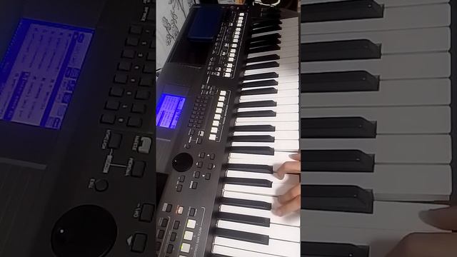 обучение цыганская полька по просьбе подписчика #yamaha S670 смотреть онлайн