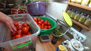 Помидоры в масле./ Квашеные помидоры как бочковые.