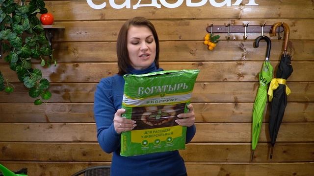 Голова садовая - Проверяем, всхожесть семян баклажана - в биогрунте Богатырь