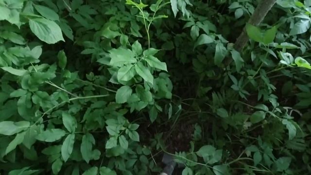 Коп металлолома. Метало коп. Серия 42 смотреть онлайн