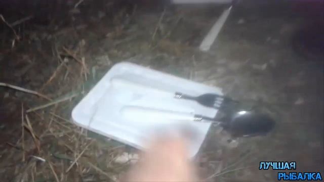 Рыбалка с Ночёвкой на Лимане! Ловля Карпа. Первый Трофей смотреть онлайн